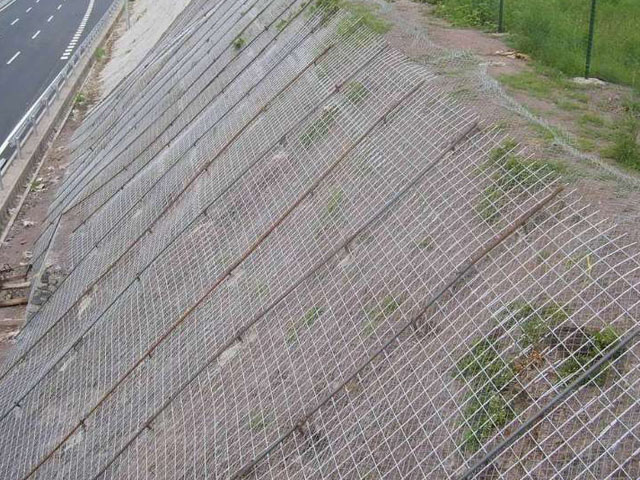 主動邊坡防護網
