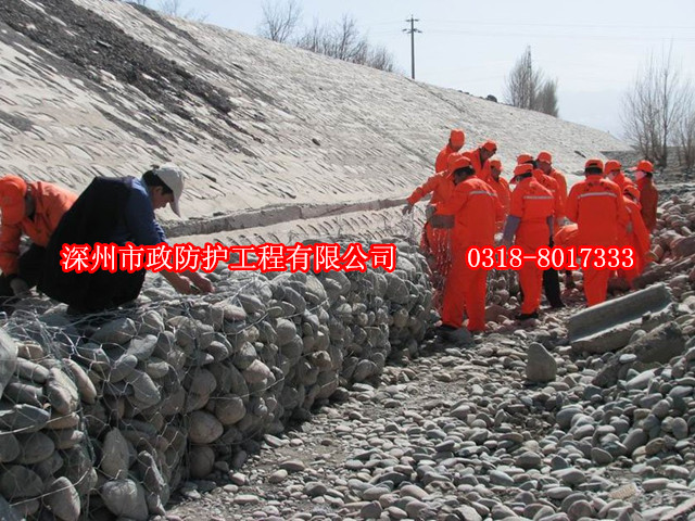 賽克格賓網(wǎng)