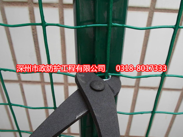 涂塑焊接網(wǎng)