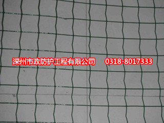 涂塑焊接網